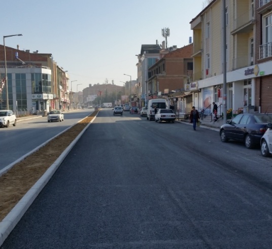 About the Project