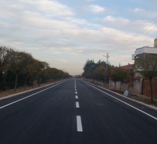 About the Project
