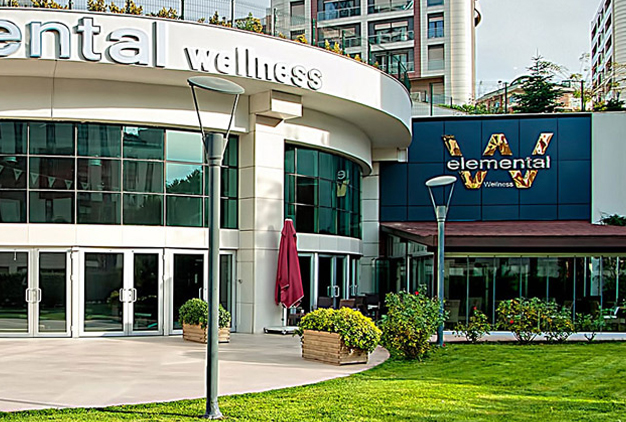 Elemental Wellness (20.03.2016)
